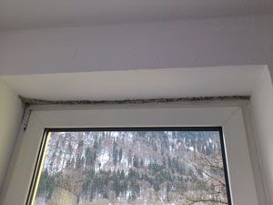 Schimmelschaden an einem Fenster